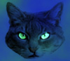 Cat Face Elixir's Avatar