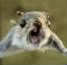 Ionizer's Avatar