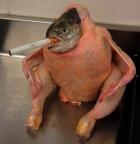 Fish in a Basket's Avatar