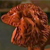 Soul_Decay's Avatar