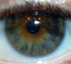 Loftydreamer's Avatar