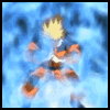 protector's Avatar