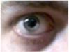 Nirruden's Avatar