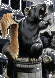 Rebel-Soldier's Avatar