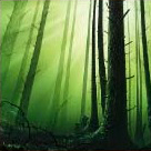Naturax's Avatar