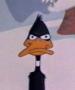 Quietis Unus's Avatar