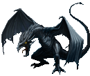 Black Wyvern's Avatar