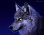 ocelotdie's Avatar