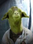 Haggis's Avatar