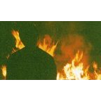 Avi's Avatar
