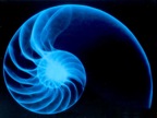 atombonds's Avatar