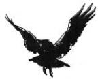 blackstarraven's Avatar