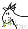 Zara's Avatar