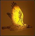 Golden_Crow's Avatar