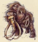 Cyradon's Avatar