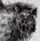 Radioactive Bears's Avatar